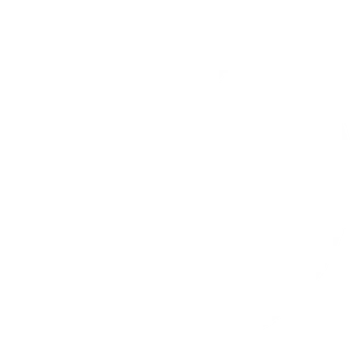 Xing Logo